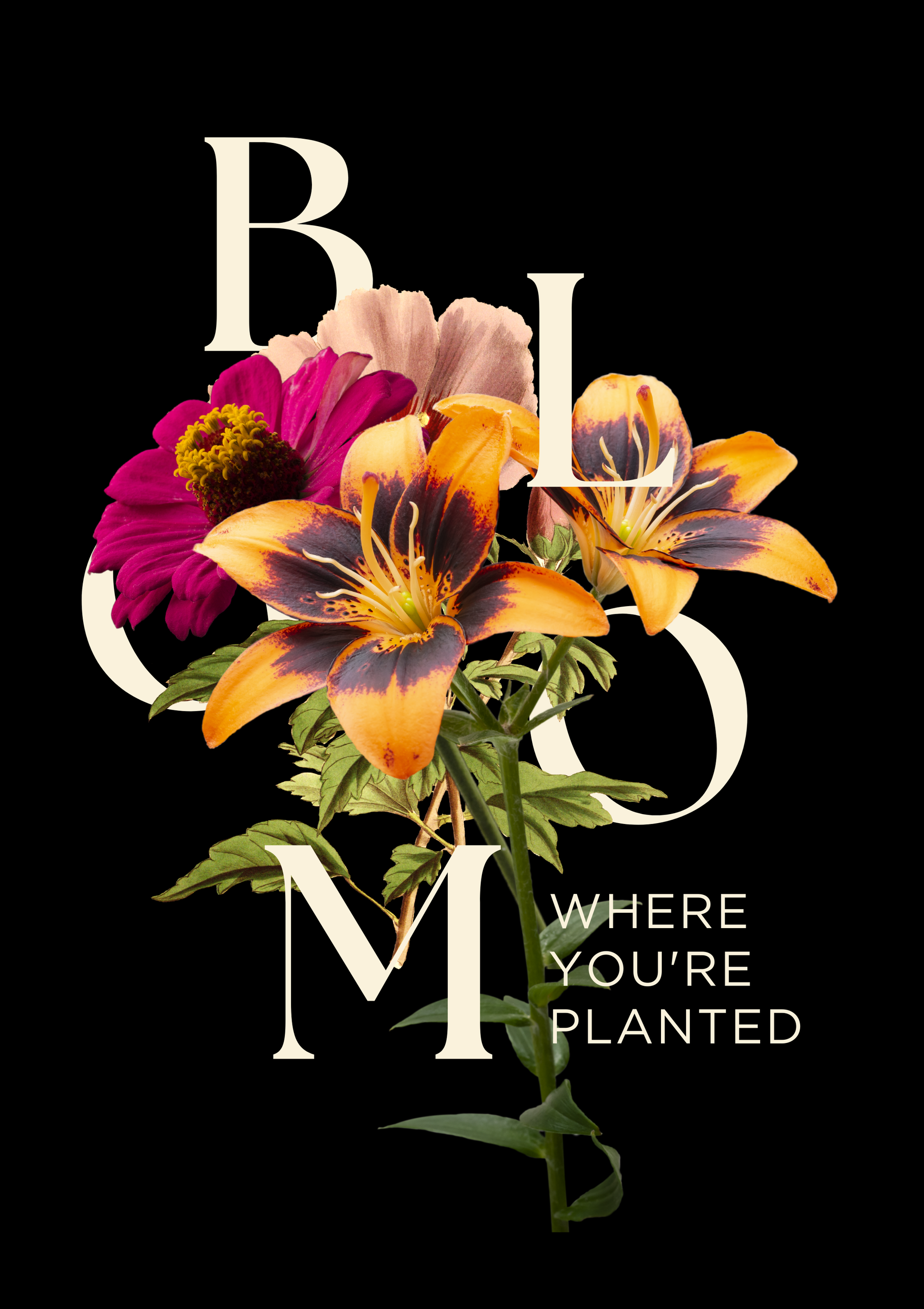 Floral arrangement with 'BLOOM WHERE YOU'RE PLANTED' text on a black background