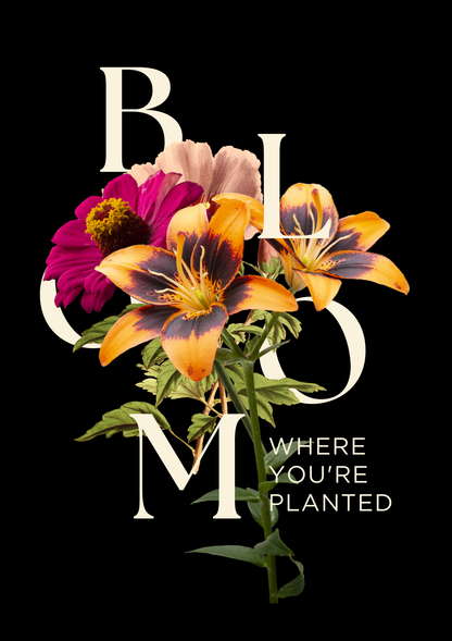 Floral arrangement with 'BLOOM WHERE YOU'RE PLANTED' text on a black background